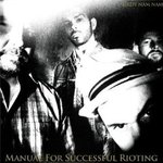 Cd de la semaine, Birdy nam nam: Manual for sucessful rioting  -- 15/07/09