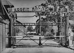 70me anniversaire de la libration des camps de concentration.